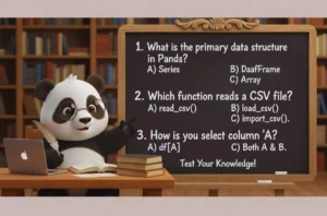 pandas quiz question and answers